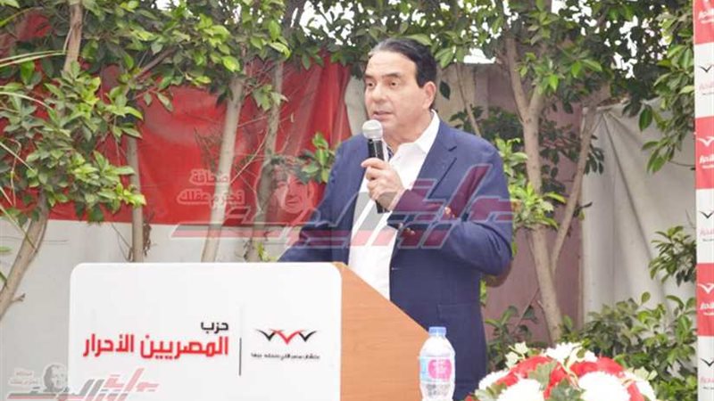 رئيس برلمانية المصريين