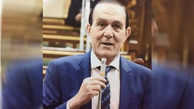 هيكل: تحريك الحد الأدنى يعكس تحسين دخول جميع العاملين بالدولة