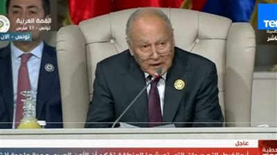 أبو الغيط: التدخلات الإيرانية والتركية فاقمت الأزمات العربية (فيديو)