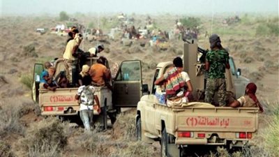 قوات الجيش اليمنى تحبط محاولة تسلل ميليشيا الحوثي باتجاه محافظة الحديدة