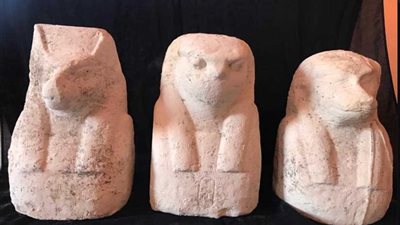 العثور على تابوت من الحجر الجيري به مومياء ورقائق ذهبية بقويسنا