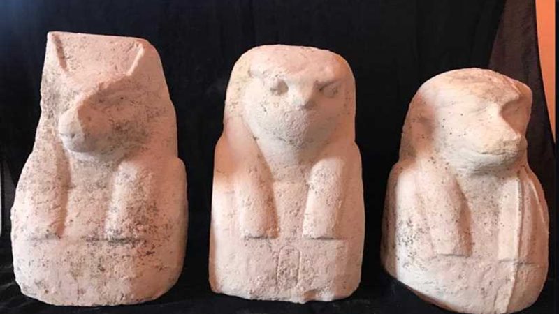 العثور على تابوت