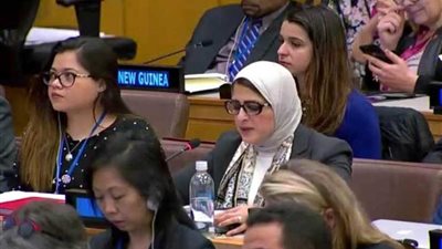 زايد: القيادة السياسية في مصر تولي اهتماماً كبيراً بملفي 