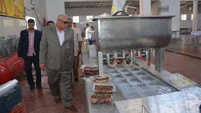 محافظ الوادي الجديد يتفقد أعمال التطوير ب