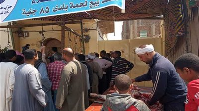 بدء مبادرة مستقبل وطن لبيع اللحوم البلدية بـ٨٥ جنيهًا للكيلو بالأقصر