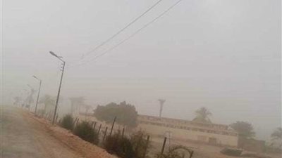 الوادي الجديد تتعرض لطقس سيئ وعواصف ترابية