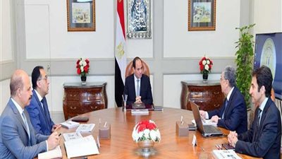 الرئيس السيسي يوجه بمواصلة تنفيذ مشروعات الربط الكهربائي مع دول الجوار