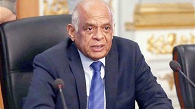 رئيس مجلس النواب يقترح على نظيره التنزاني إنشاء جمعية برلمانية لدول حوض النيل