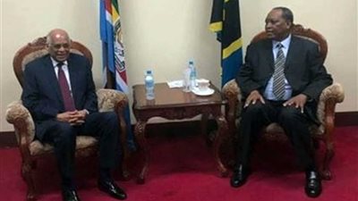 عبدالعال يؤكد لرئيس وزراء تنزانيا حرص مصر على الشركاء الأفارقة