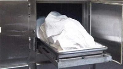 سيارة تدهس سيدة وطفلها بأحد شوارع ملوي وتفر هاربة