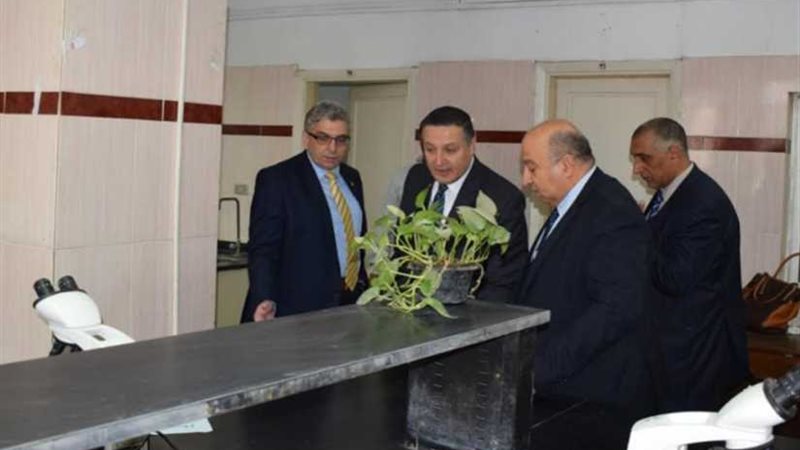 رئيس جامعة بنها: