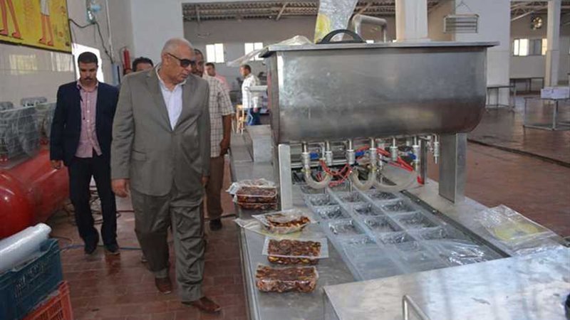 محافظ الوادي الجديد