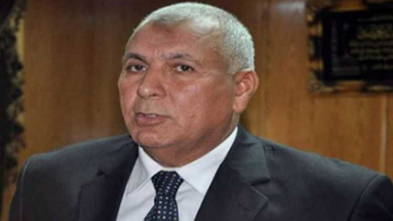 محافظ الوادي الجديد: