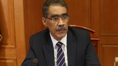 ضياء رشوان: مصر قدمت نموذجًا في الحماية الاجتماعية للمواطنين