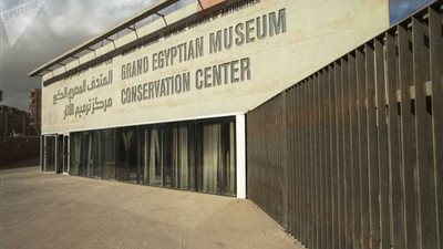 زرع 100 شجرة بالمتحف المصري الكبير