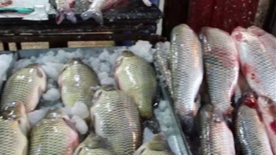 شعبة الأسماك تطالب بإعادة النظر في إلغاء رسم الصادر