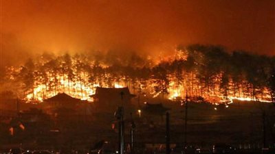 السيطرة على حريق شب في غابات بشمال شرق كوريا الجنوبية