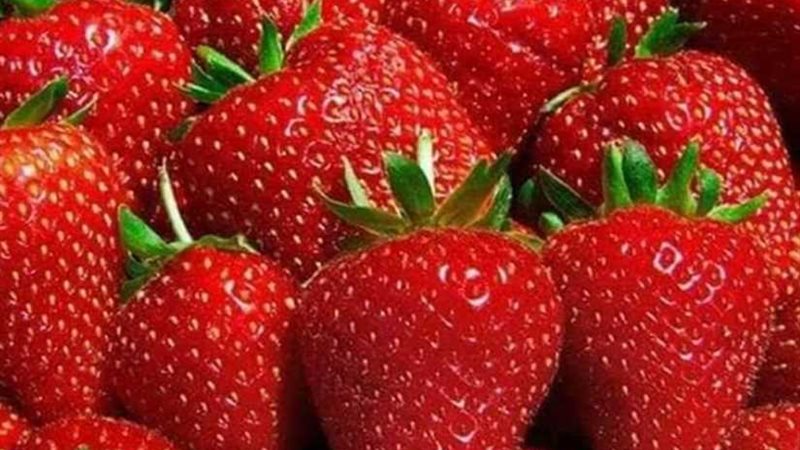 282 مليون دولار حصيلة