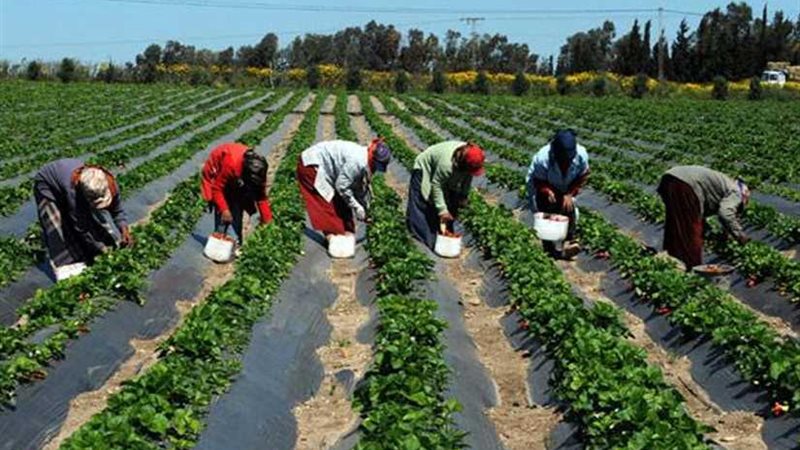 ممثل وزراء الزراعة