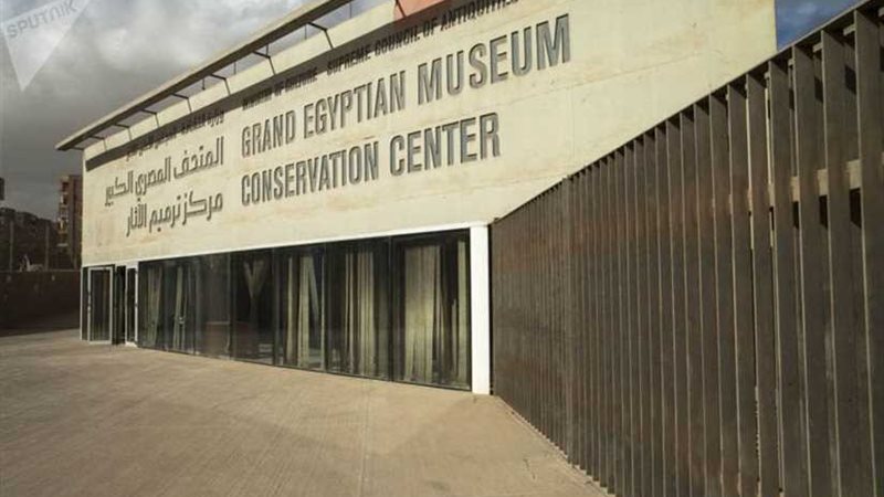 زرع 100 شجرة بالمتحف