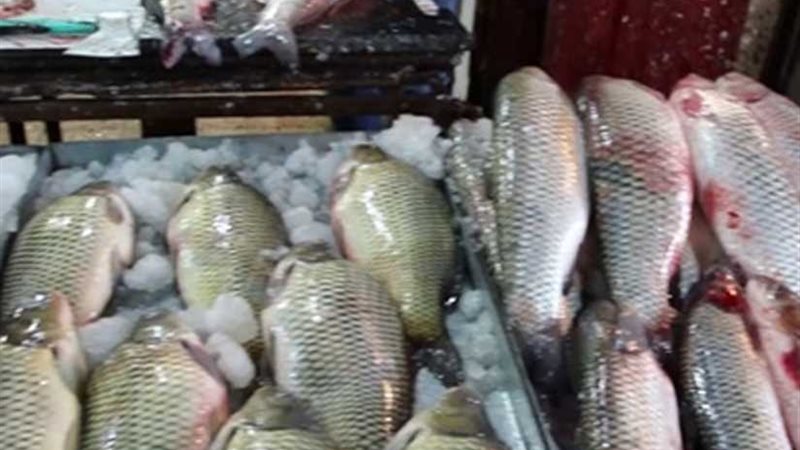 شعبة الأسماك تطالب