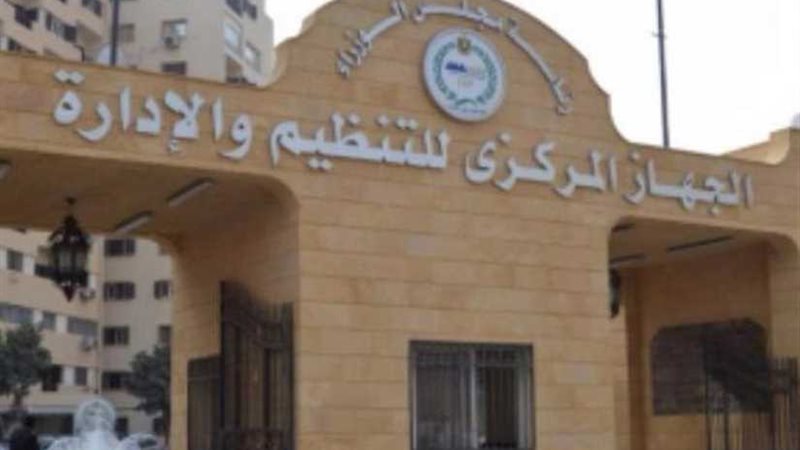 التنظيم والإدارة