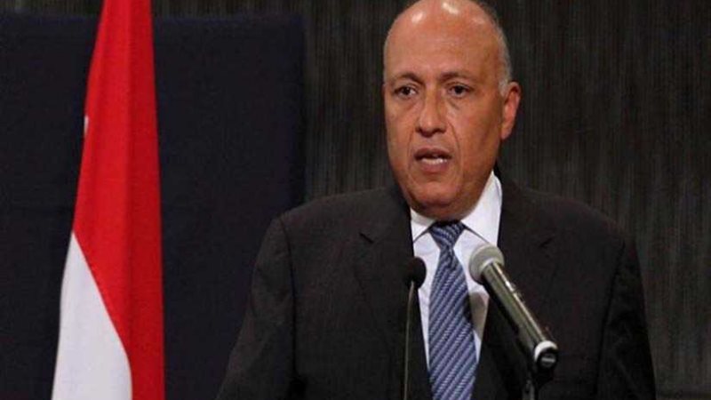 سامح شكري: هناك إرادة