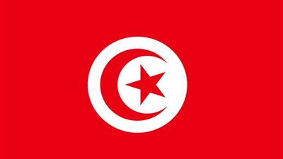 تونس تجدد التزامها بالمعاهدات وبرامج العمل الدولية الخاصة بالسكان والتنمية