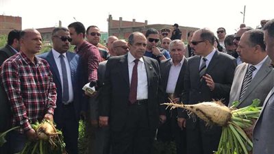 وزير الزراعة يتفقد زراعات بني عديات بأسيوط
