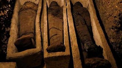 سر مقبرة الـ50 