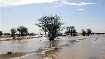 ارتفاع حصيلة ضحايا إعصار 