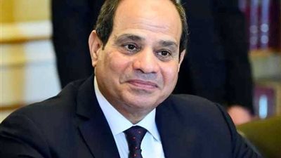 خبراء يشيدون بدعم الرئيس السيسي للحوكمة الجيدة في مصر وأفريقيا