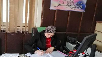 مشروعات برنامج التنمية المحلية 