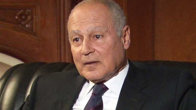 أبو الغيط يشارك في