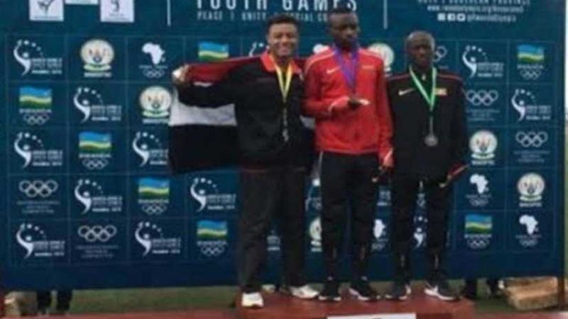 تعليم الإسكندرية