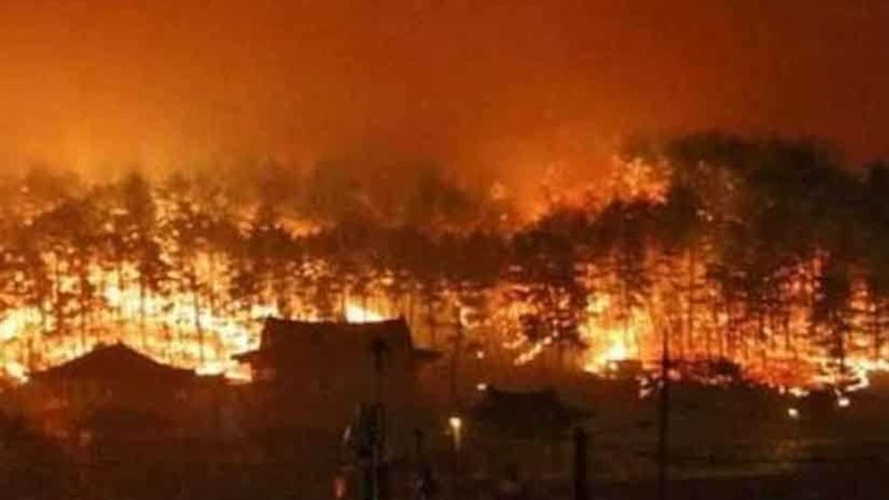 كوريا الجنوبية: حريق