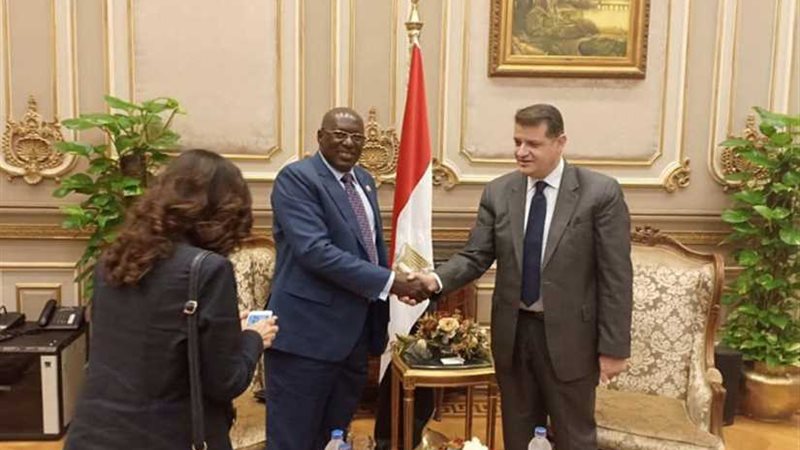 إفريقية النواب تلتقي