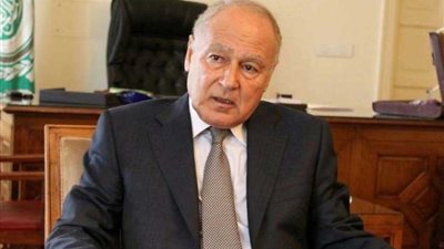 أبوالغيط: توفير بيئة لتطوير الصناعة بالدول النامية