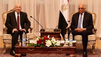 عبد العال لرئيس النواب الليبي: الجيش الوطني ضمانة سيادة الدولة