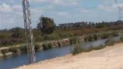 البيئة : رصد نوعية المياه بعدد من مصارف البحيرة