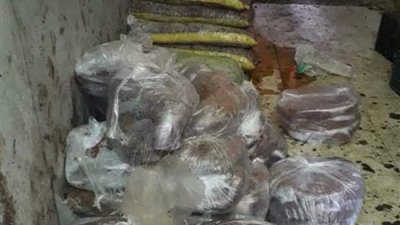 ضبط 22 طن تمور فاسدة بالجيزة