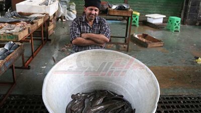 ضحكة رضا رغم 