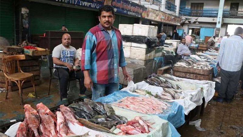 أسعار الأسماك اليوم