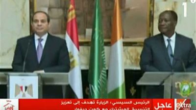 السيسي: بحثت مع رئيس كوت ديفوار تطوير العلاقات