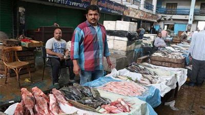 أسعار الأسماك اليوم من بورصة سوق العبور