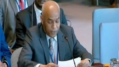 مندوب السودان بالأمم المتحدة: المجلس العسكري جاء استجابة لرغبة شعبنا.. (فيديو)