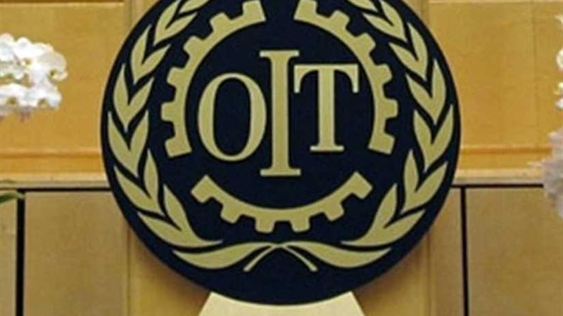 العمل الدولية بالقاهرة: