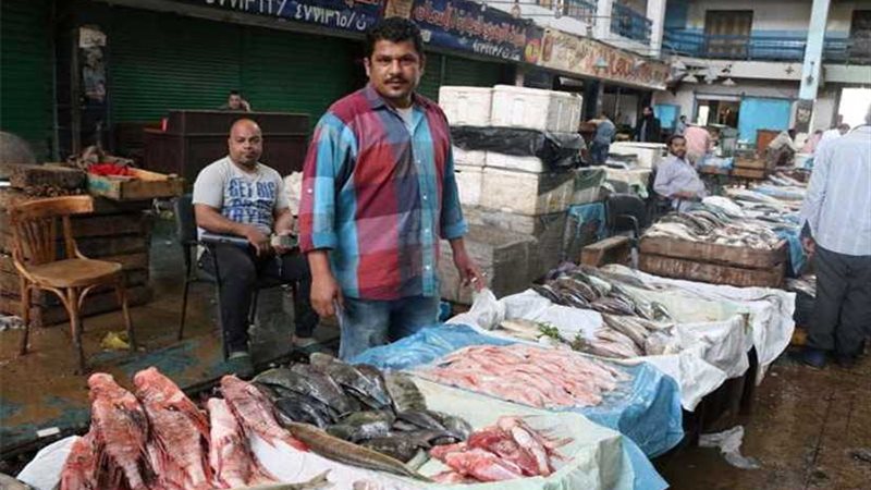 أسعار الأسماك اليوم