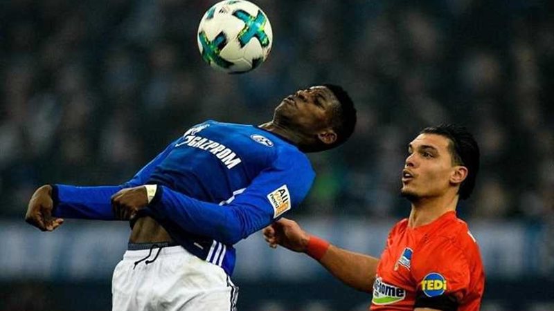 تعادل نورنبيرج وشالكه