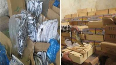 ضبط 31 طن أسماك فاسدة بأول أيام حملات شرطة التموين